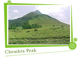 Chembra Peak